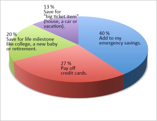 2014: What is your financial goal poll results